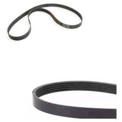 Correa De Accesorio-alternador Renault Scenic Rxt 2.0 01-04