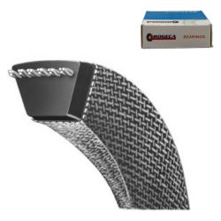 Correa En V Correa Tipo B49 Longitud 17x1245