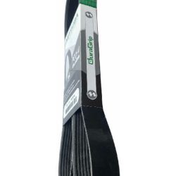 Correas De Accesorio Para Ford Escape 2015 1.6