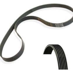 Correa De Alternador Audio A3 20132014 1.6 Clha