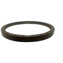 Reten Tcr-nbr Chery 30x50x7 Taiwan