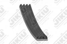 Correa de Accesorio 4PK613 LF11237