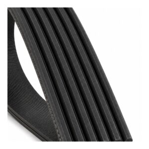 Correa de Accesorio 6PK2125 LF11300