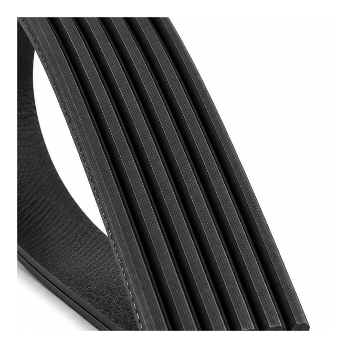 Correa de Accesorio 6PK1010 LF11266