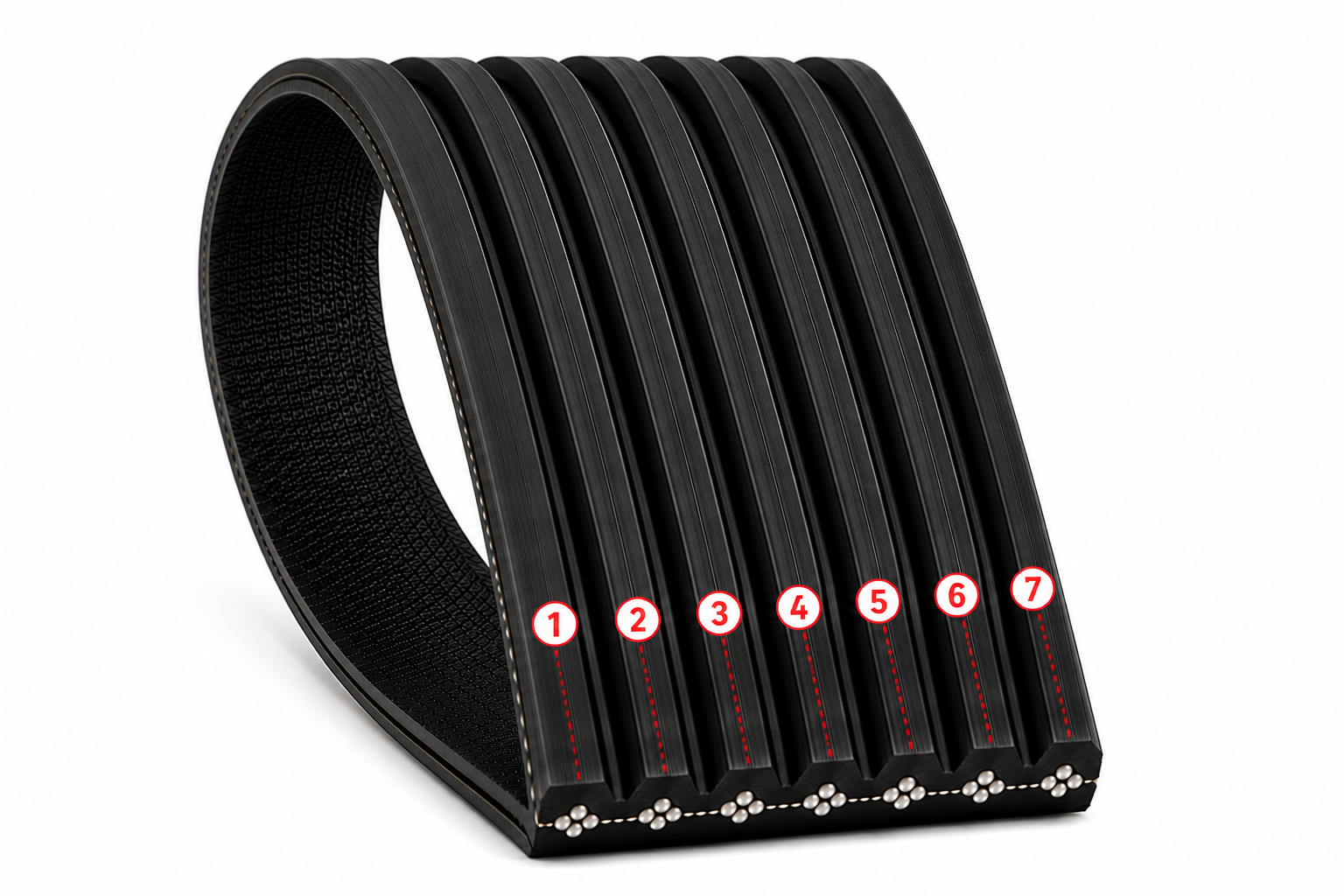 Correa de Accesorio 7PK1565 LF11966