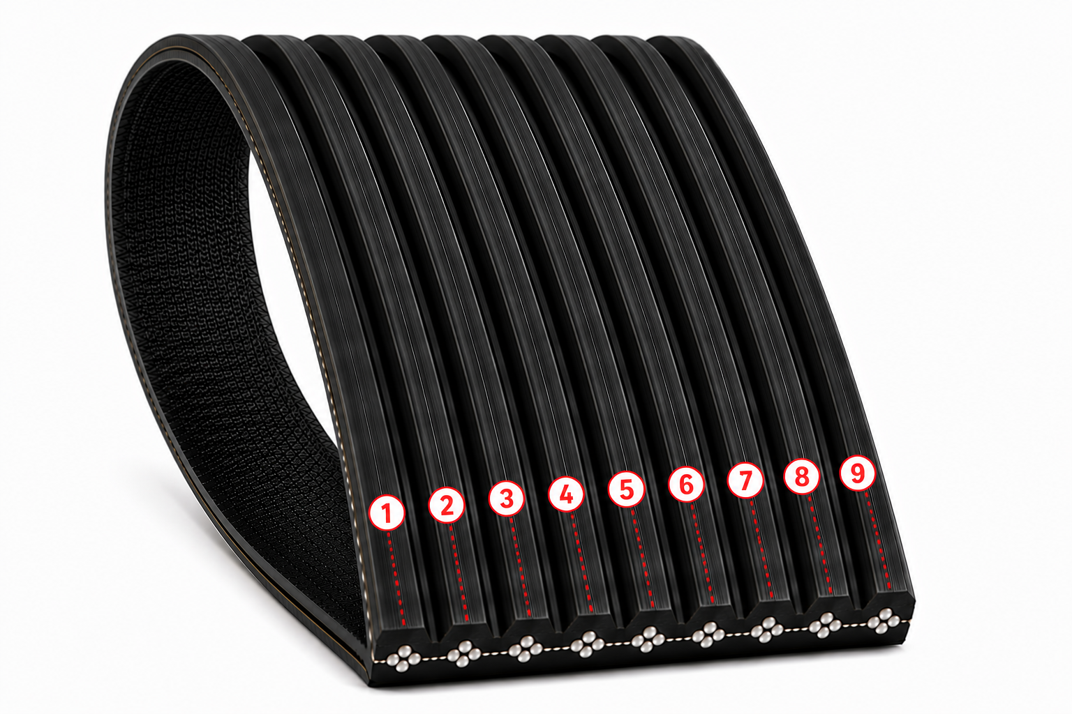 Correa de Accesorio 8PK1955 LF11971
