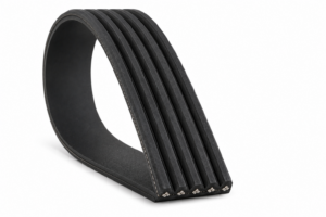 Correa de Accesorio 5PK1810 LF11245