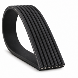 Correa de Accesorio 7PK1430 LF10029
