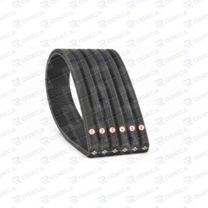 Correa de Accesorio 6PK1175 LF10027