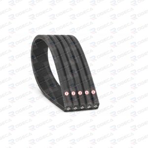 Correa de Accesorio 5PK955 LF10041