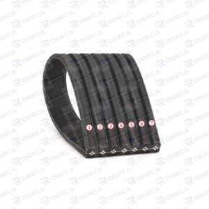 Correa de Accesorio 7PK1430 LF10029