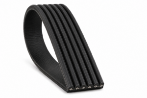 Correa de Accesorio 6PK2125 LF11300