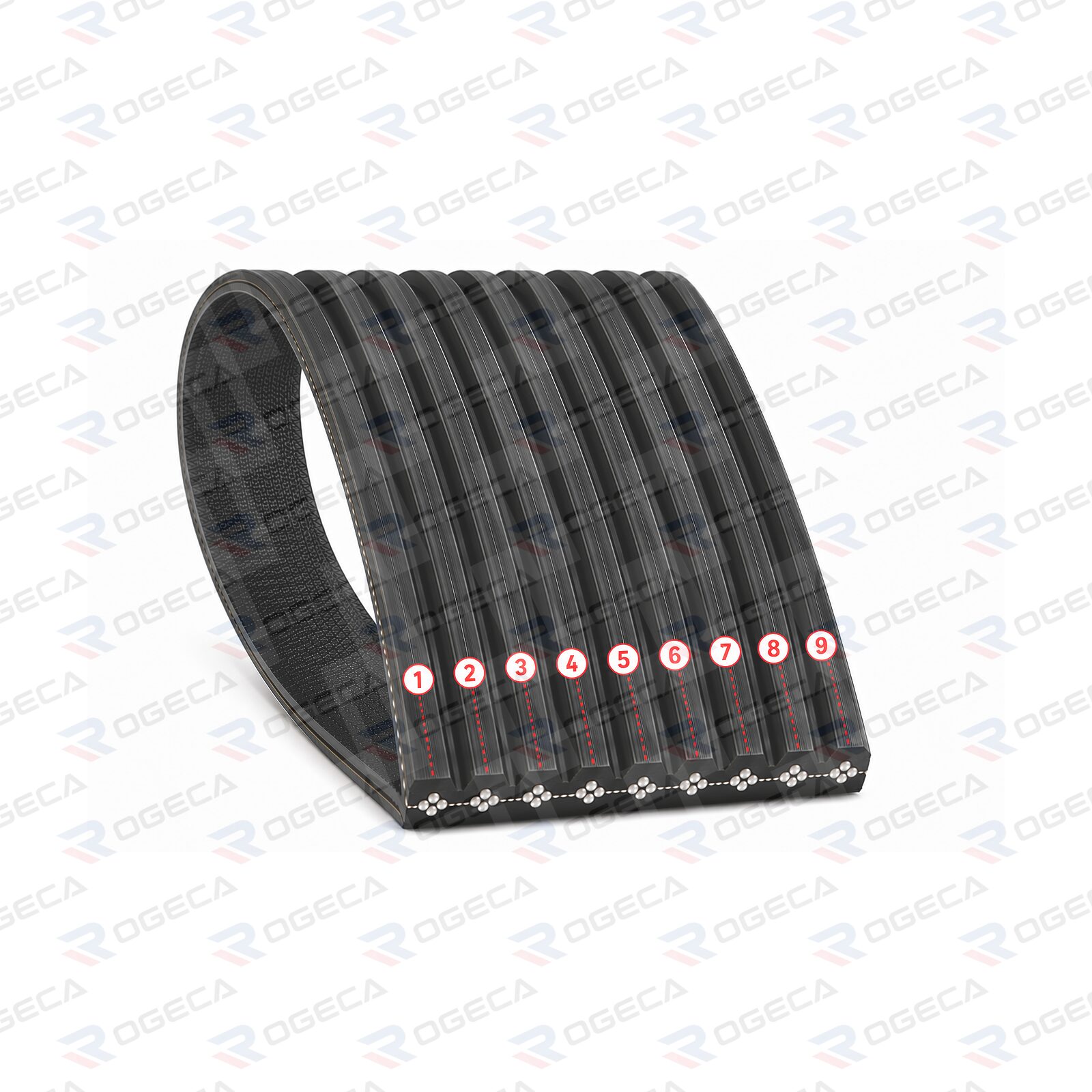 Correa de Accesorio 9PK2105 LF10362